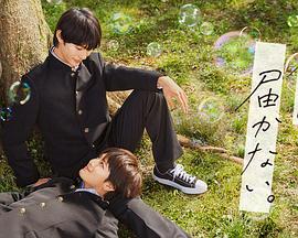 公开视频免费观看视频海报剧照