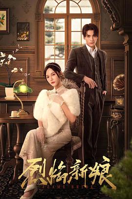 怪盗贞德海报剧照